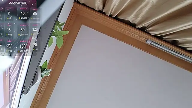 Snapshot of Haili-1 chatting on October 2025 01:53:02 PM Haili-1 online show from October 2025 01:53:02 PM