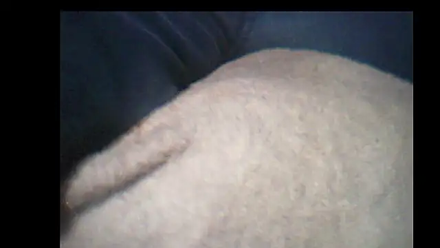 pietje1991 online show from December 2025 10:25:01 PM