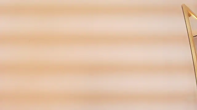 zarah andrew   online show from October 2025 11:52:01 AM