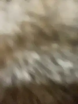 Sayhi xo online show from September 2025 09:25:02 AM