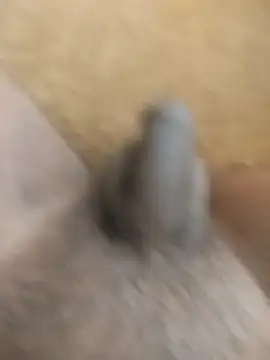 Snapshot of King_Raj99 chatting on October 2025 10:49:02 AM King Raj99 online show from October 2025 10:49:02 AM