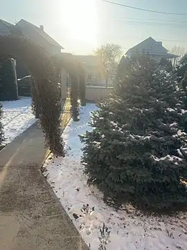 Michel huge online show from January 2026 07:56:02 AM