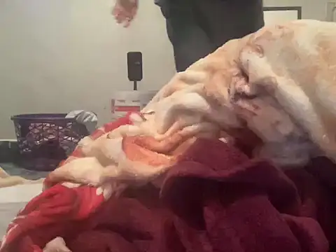 MarlonGuz online show from April 2026 12:56:01 AM