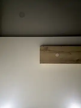 ALANNFERRER online show from September 2025 09:31:01 AM