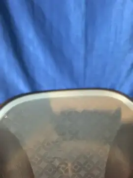 Snapshot of Rashi-48 chatting on November 2025 06:03:02 PM Rashi-48 online show from November 2025 06:03:02 PM