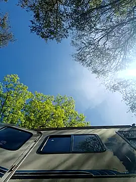 ShawnandDani7074 online show from March 2026 06:03:01 PM