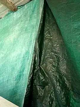 ShawnandDani7074 online show from April 2026 04:36:02 PM