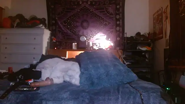 reebokrick650 online show from December 2025 09:36:01 AM