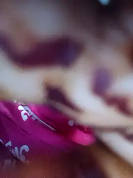 Exotic-bhabhi online show from April 2026 11:31:02 AM