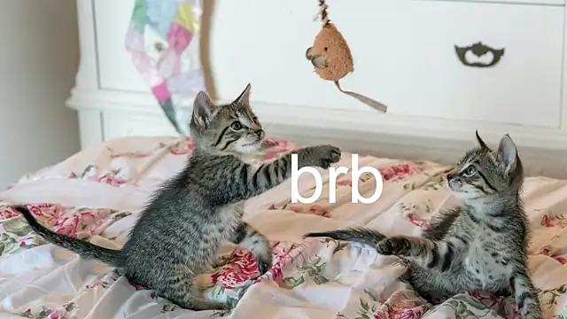 Pink girl0n online show from November 2025 07:08:02 PM