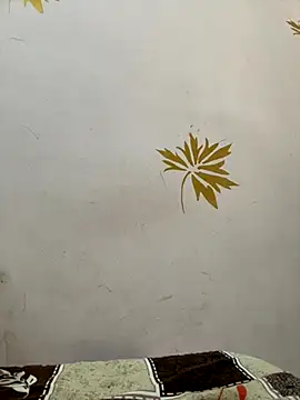 modelnishu online show from October 2025 01:42:02 AM