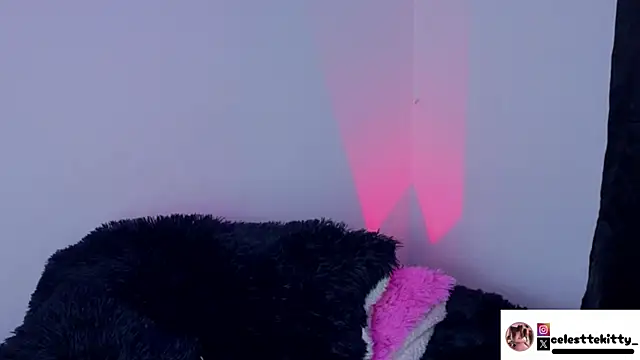 celestte evans 1 online show from February 2026 06:17:01 AM