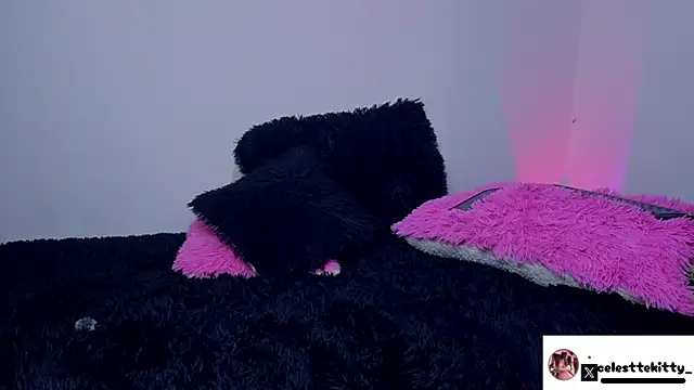 celestte evans 1 online show from March 2026 03:45:02 AM