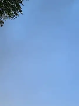 raen001 online show from November 2025 08:47:02 AM