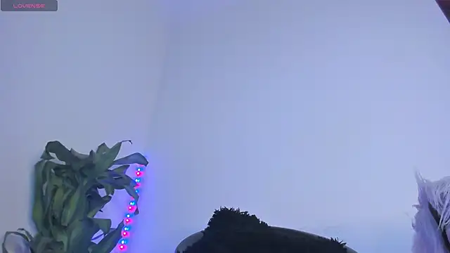 Lucy shen  online show from November 2025 01:16:01 AM