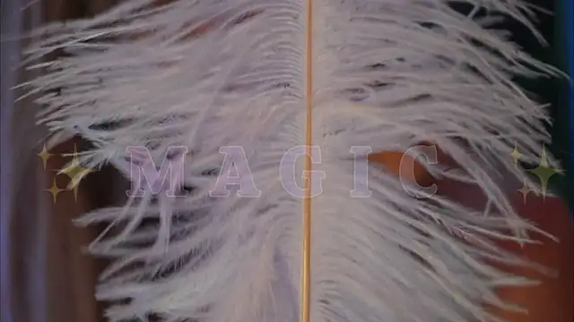 Alvuwkaa online show from January 2026 09:44:02 AM