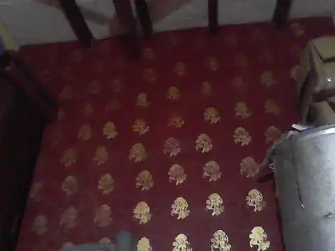 ursdreamperson online show from February 2026 05:05:01 AM