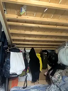 Snapshot of wsyx326 chatting on October 2025 04:21:01 AM wsyx326 online show from October 2025 04:21:01 AM