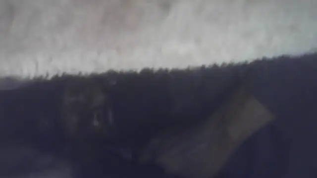 Snapshot of cuminsidebby chatting on July 2026 03:15:01 AM cuminsidebby online show from July 2026 03:15:01 AM