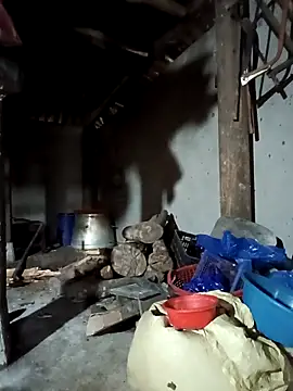 Exembin online show from September 2025 03:08:01 AM