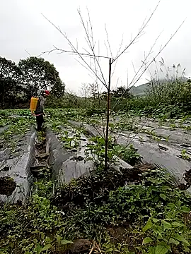 Exembin online show from October 2025 01:57:01 AM