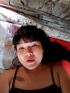 ttd83 online show from March 2026 02:17:01 AM