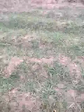 Snapshot of sonotutto chatting on October 2025 05:56:01 PM sonotutto online show from October 2025 05:56:01 PM