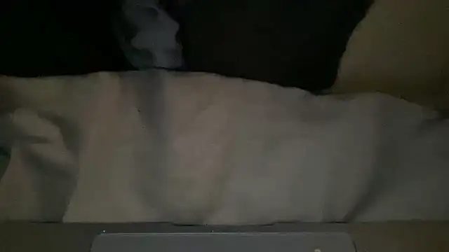 peterpapiNL online show from March 2026 07:31:02 PM