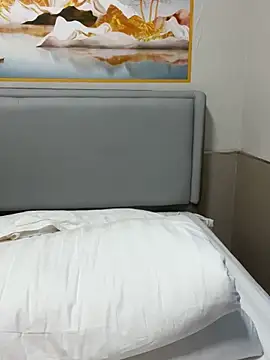 Snapshot of xiaomei-11 chatting on October 2025 11:00:02 AM xiaomei-11 online show from October 2025 11:00:02 AM