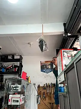 Terra-22cm online show from October 2025 02:51:02 PM