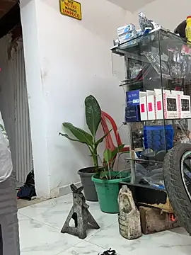 Terra-22cm online show from April 2026 06:10:01 PM