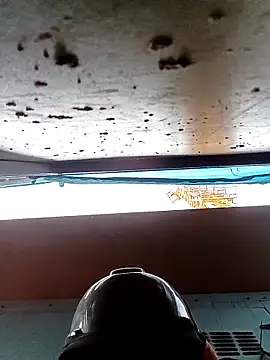 Pamaferto online show from March 2026 09:16:02 PM