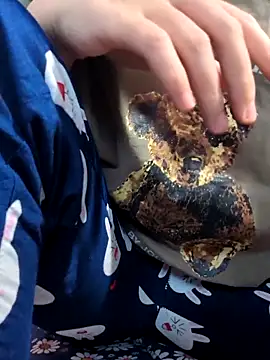 Snapshot of sasud2 chatting on November 2025 02:02:02 AM sasud2 online show from November 2025 02:02:02 AM