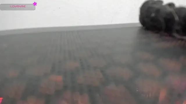 FluffyMelons online show from April 2026 11:02:02 PM