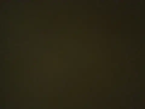 Quarentaoon online show from October 2025 10:07:01 PM