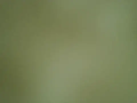 Quarentaoon online show from October 2025 03:32:01 PM