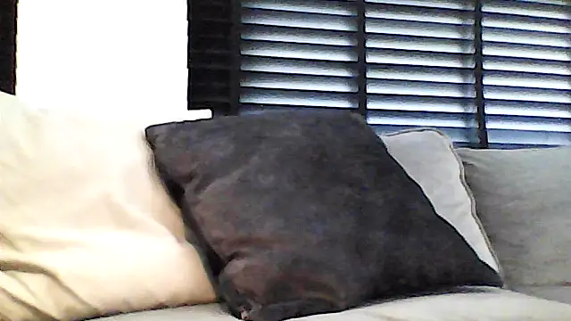 Snapshot of perlados chatting on May 2026 02:25:01 PM perlados online show from May 2026 02:25:01 PM