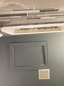 chocolate bella online show from October 2025 04:01:02 AM