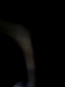 chocolate bella online show from October 2025 04:05:01 PM