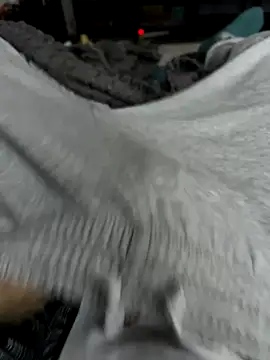 Frankieyyy1 online show from November 2025 07:44:02 AM