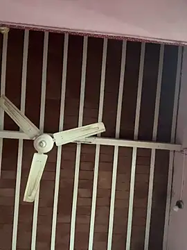 amitsharma7868 online show from November 2025 09:20:02 AM