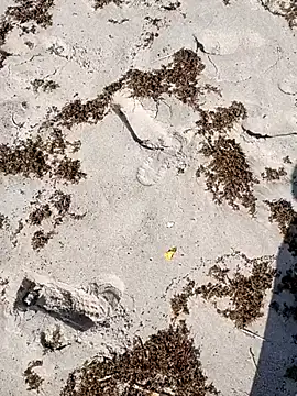 Snapshot of sarahkat86 chatting on October 2025 02:37:01 PM sarahkat86 online show from October 2025 02:37:01 PM