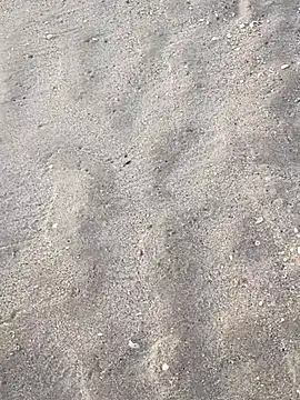 Snapshot of sarahkat86 chatting on November 2025 12:16:01 PM sarahkat86 online show from November 2025 12:16:01 PM