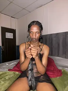 Snapshot of Trans_fairy chatting on February 2026 08:29:02 PM Trans fairy online show from February 2026 08:29:02 PM