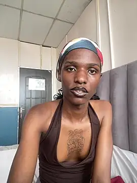 Snapshot of Trans_fairy chatting on February 2026 01:07:02 PM Trans fairy online show from February 2026 01:07:02 PM