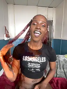 Snapshot of Trans_fairy chatting on February 2026 02:36:01 PM Trans fairy online show from February 2026 02:36:01 PM