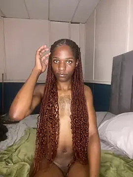 Snapshot of Trans_fairy chatting on February 2026 08:10:02 PM Trans fairy online show from February 2026 08:10:02 PM