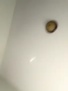 Snapshot of lilcubangoddess chatting on October 2025 02:31:01 PM lilcubangoddess online show from October 2025 02:31:01 PM