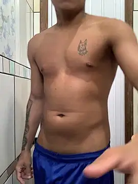 Novindot23cm online show from December 2025 11:05:01 AM