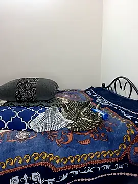 Chadni kannada online show from February 2026 04:52:02 PM